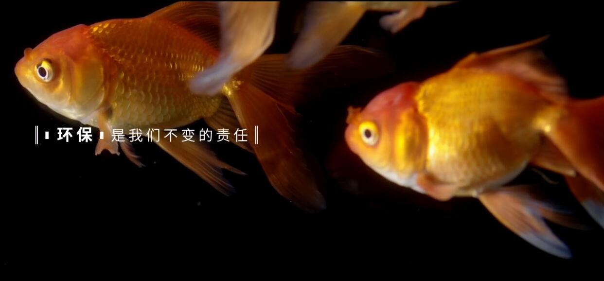 健康类企业宣传片应该从哪些方面入手